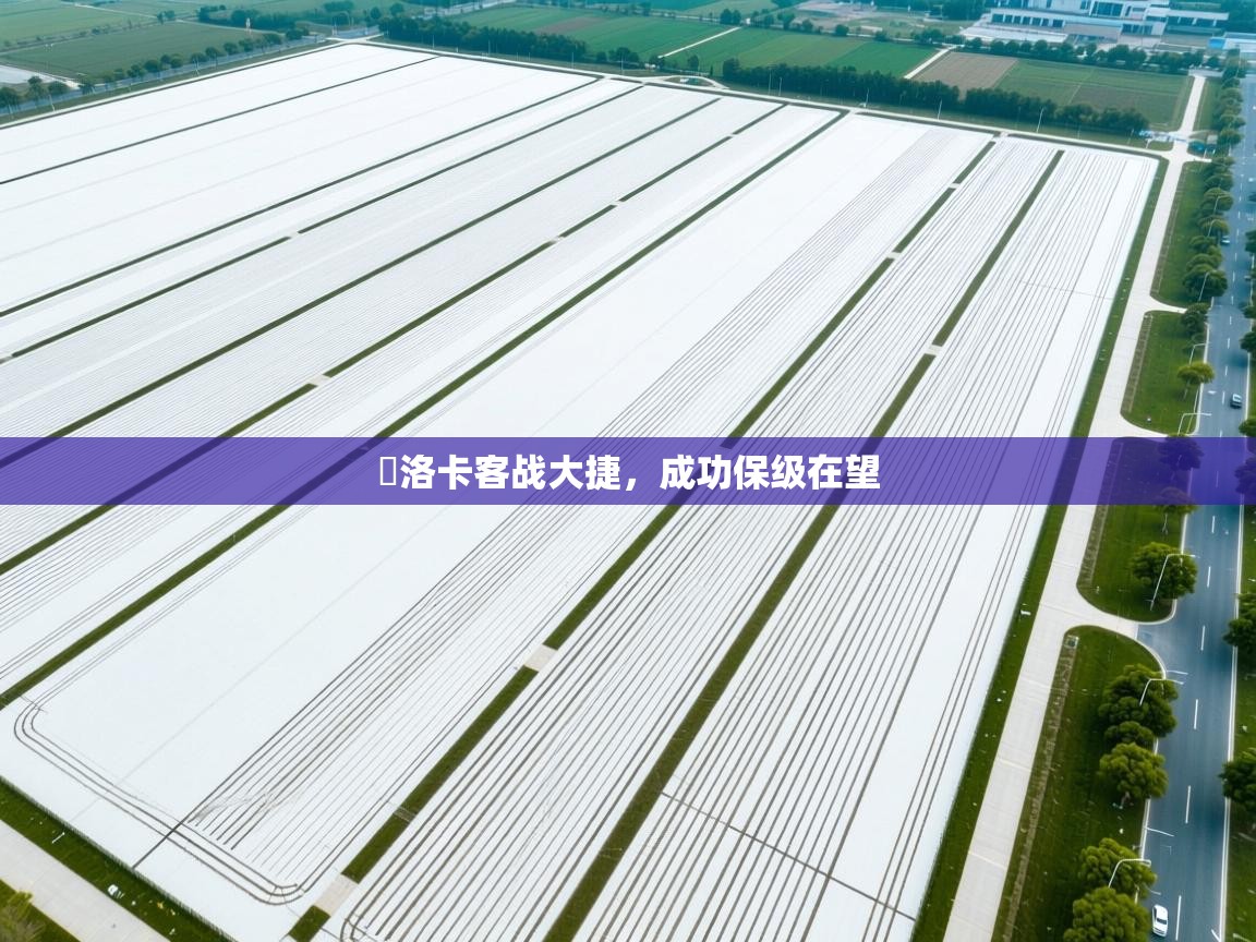 馬洛卡客战大捷,成功保级在望 第2张