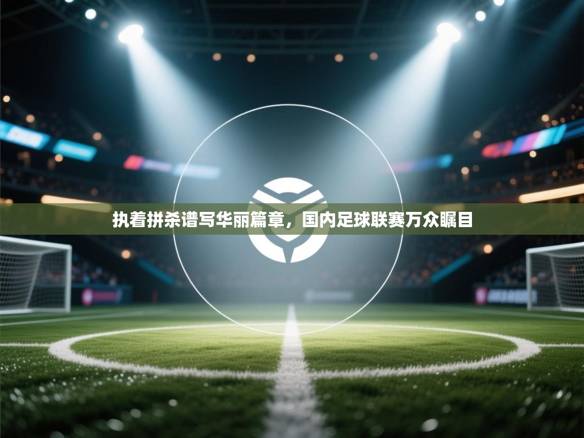 执着拼杀谱写华丽篇章,国内足球联赛万众瞩目 第2张