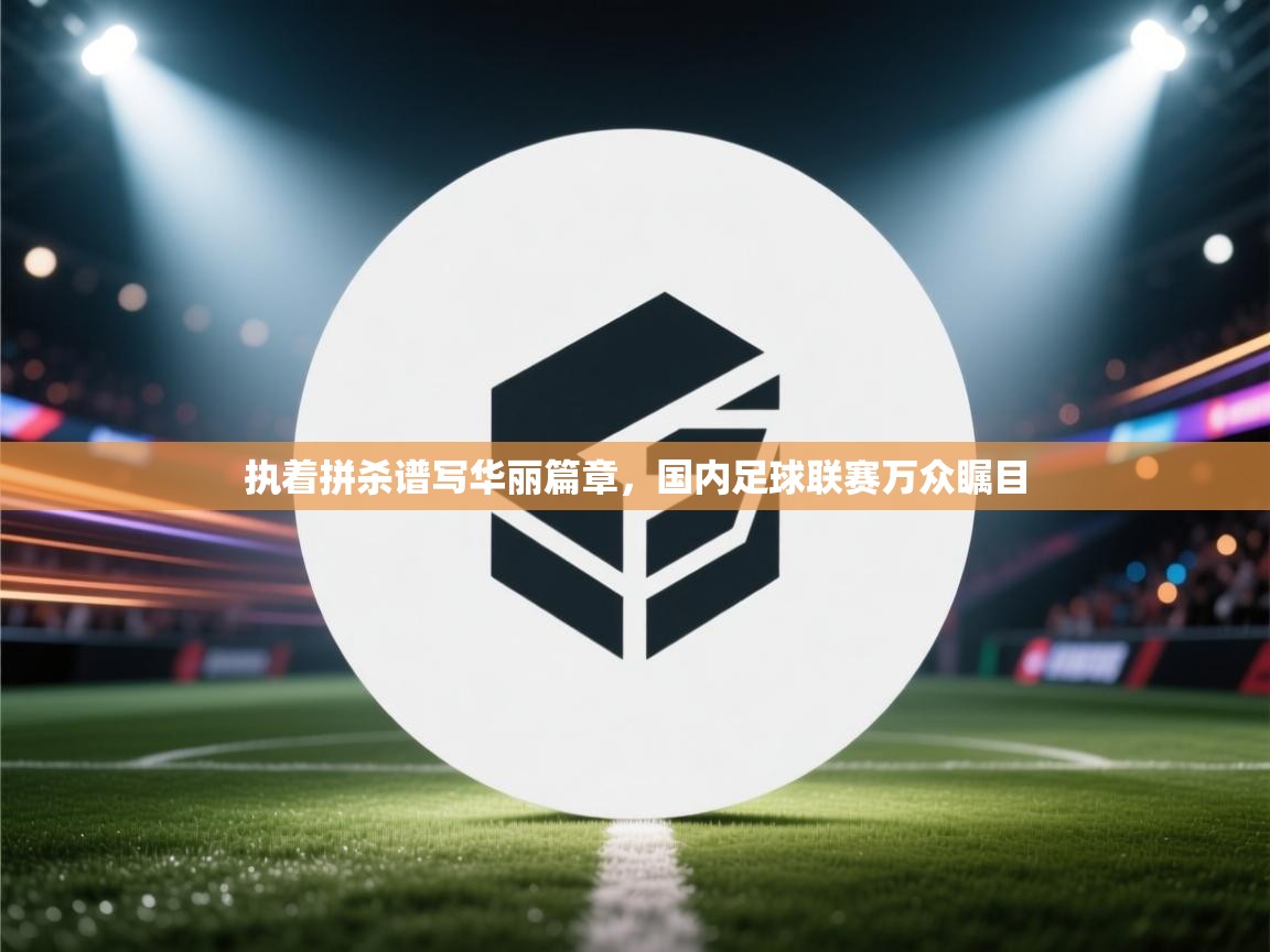 执着拼杀谱写华丽篇章,国内足球联赛万众瞩目 第1张