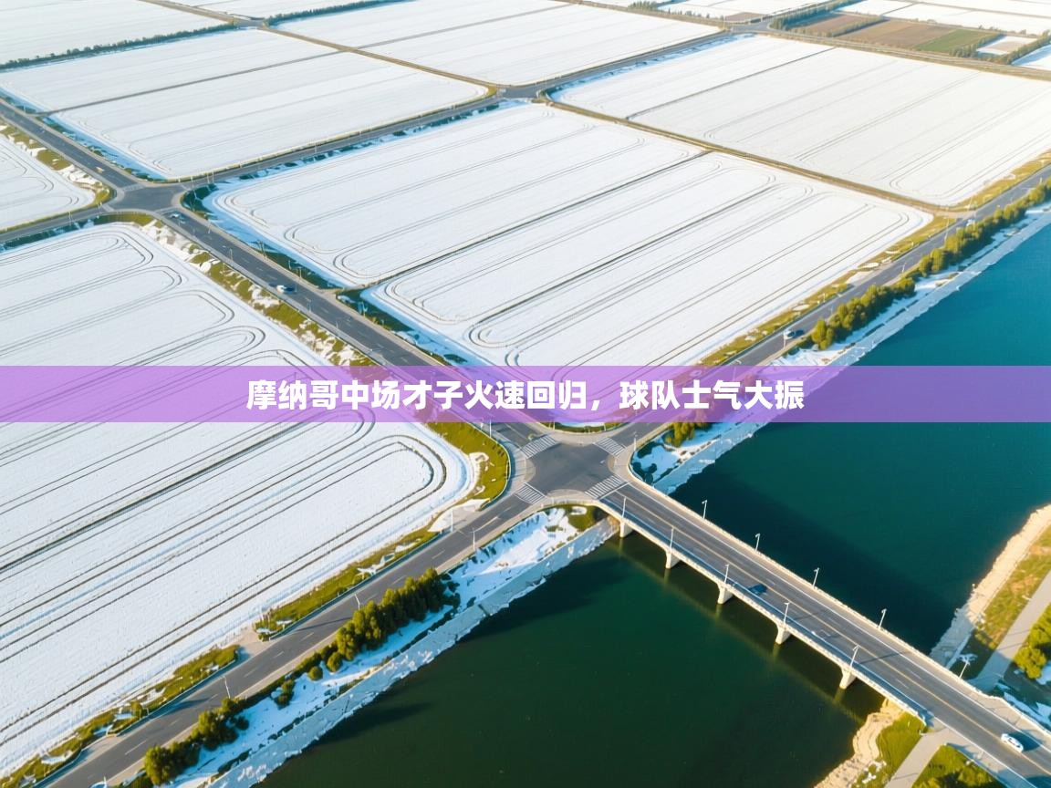 摩纳哥中场才子火速回归,球队士气大振 第1张