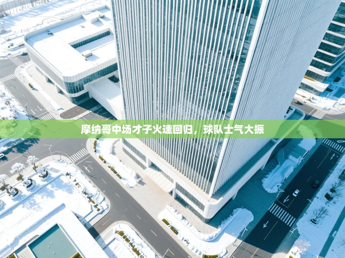 摩纳哥中场才子火速回归,球队士气大振 第2张