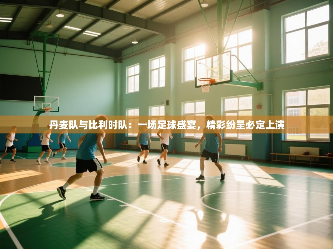 丹麦队与比利时队：一场足球盛宴，精彩纷呈必定上演  第2张